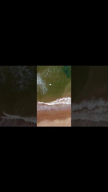 Lost by Frank Ocean is a beautiful song