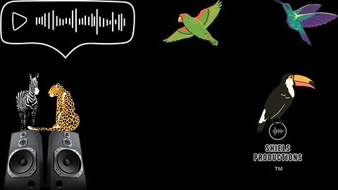 How to make $1000 a month from Audiojungle!