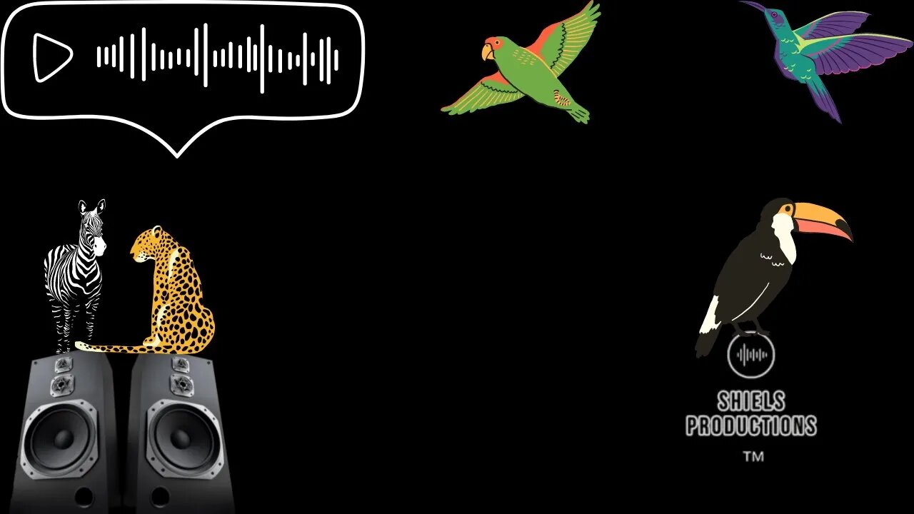 How to make $1000 a month from Audiojungle!