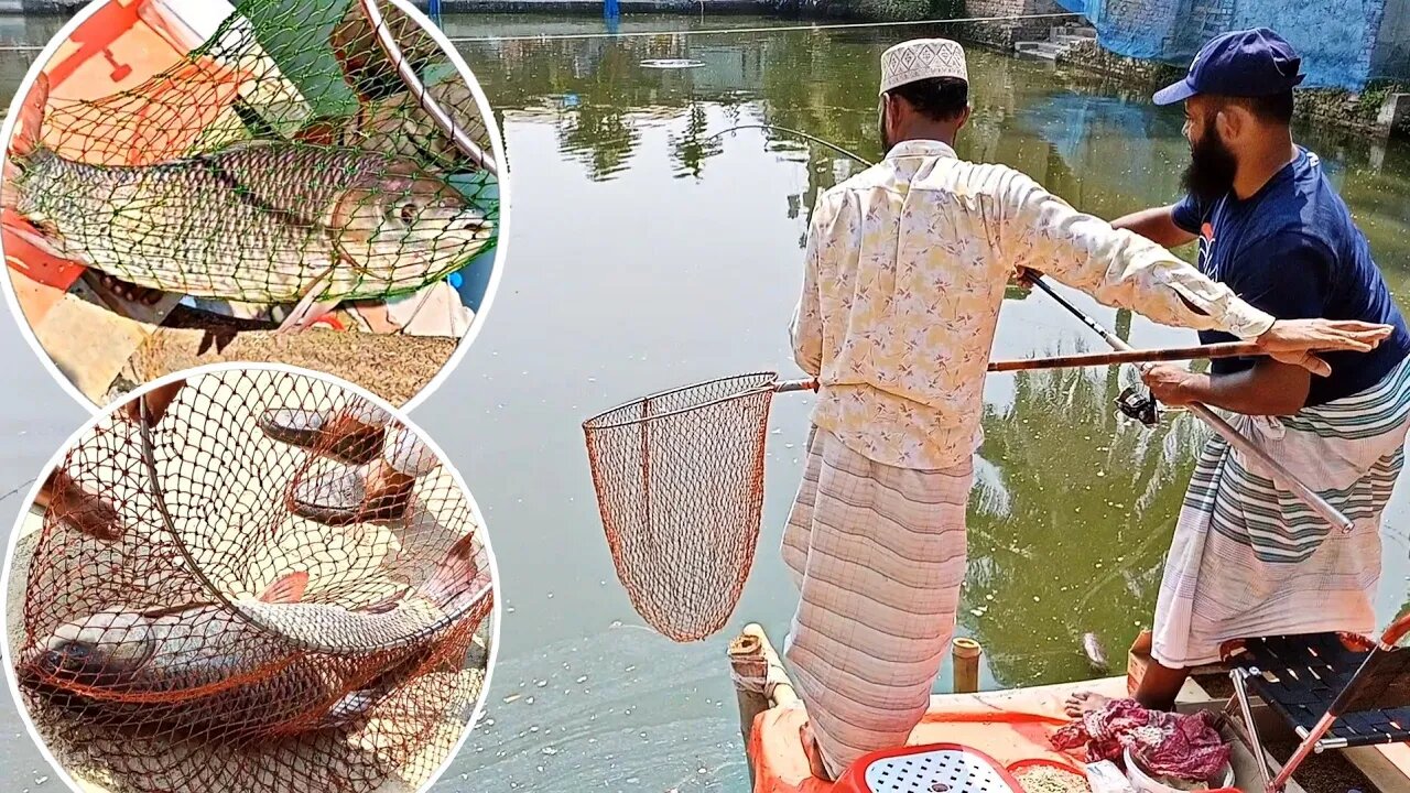 ১৫০০০ টাকার টিকিটে বড় বড় রুই মাছ ধরলাম/Unbelievable rohu fish catching