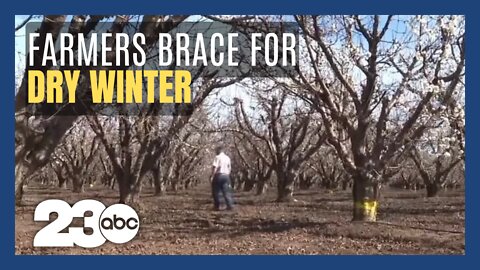 Farmers brace for a dry winter in California