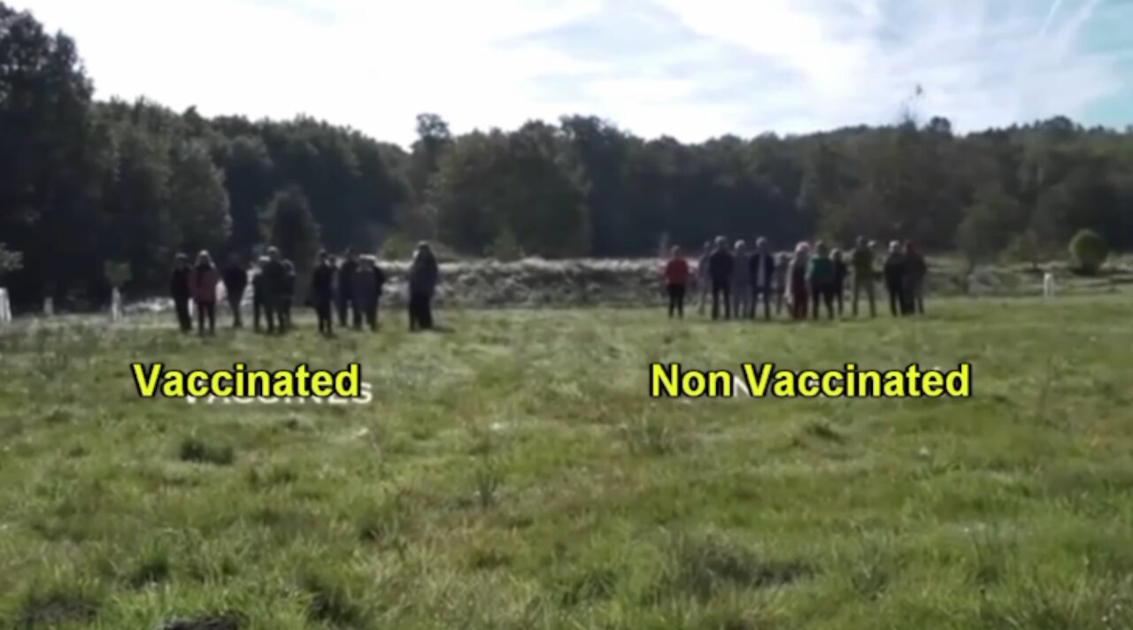 Interesting experiment...