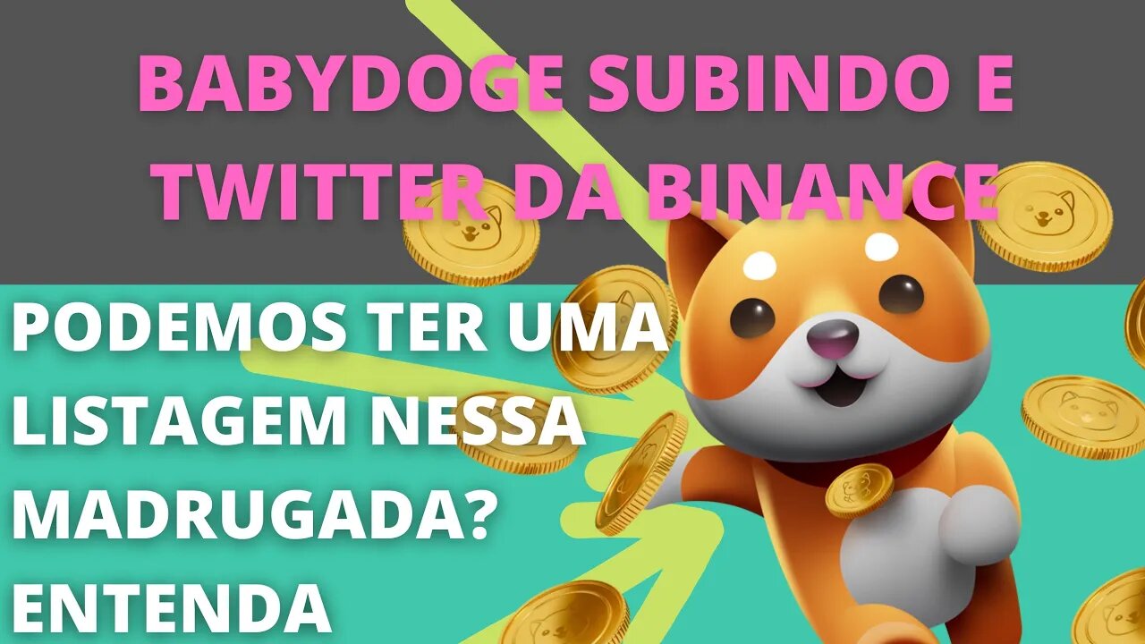 #Babydoge Subindo, #Binance twittou, pode ser essa madrugada - 105