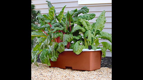 EarthBOX 80155 Garden Kit, Terra Cotta