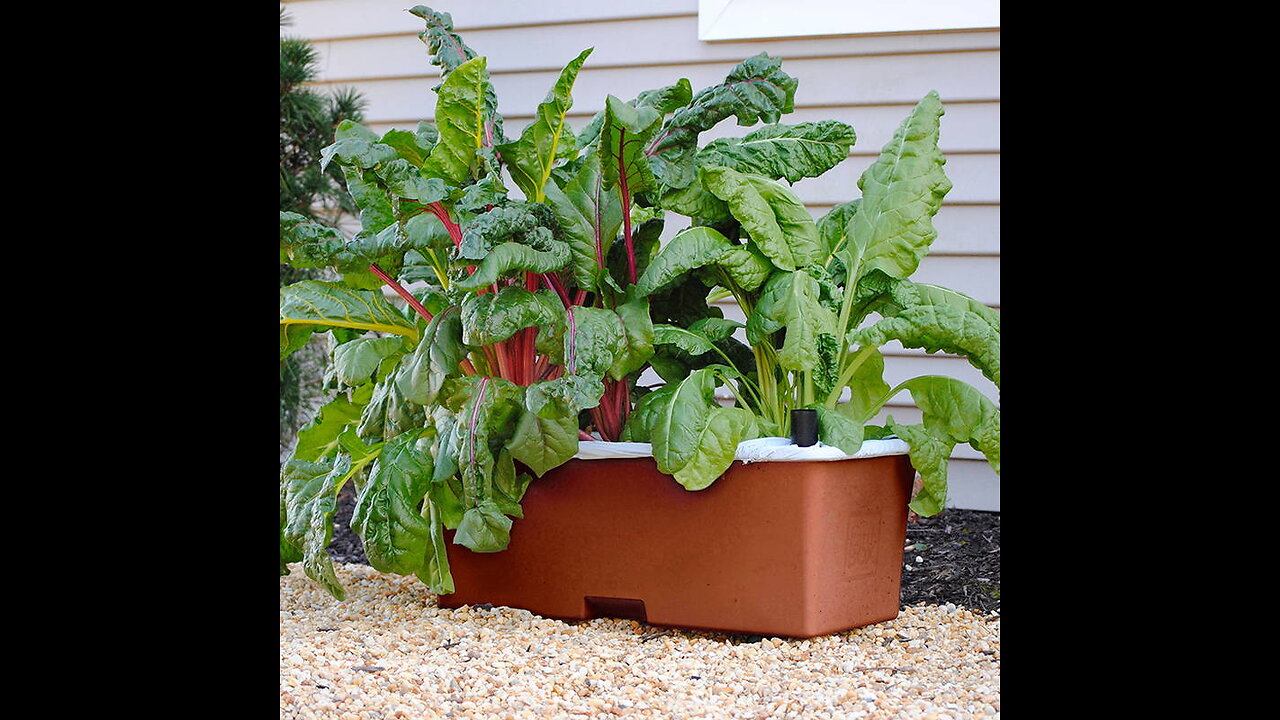 EarthBOX 80155 Garden Kit, Terra Cotta