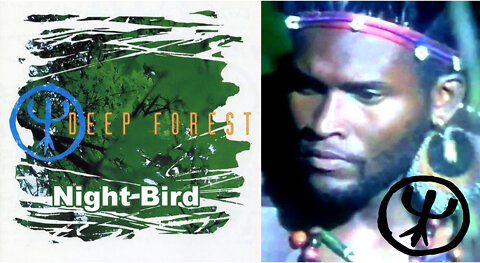 Night Bird - Deep Forest