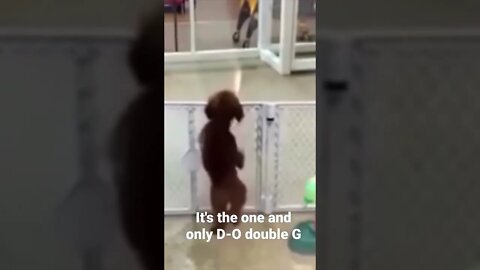 #shorts It's the one and only D-O double G