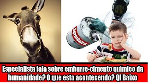 Especialista fala sobre emburre-cimento químico da humanidade! O que esta acontecendo! QI Baixo