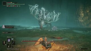 (Elden Ring) Ancestor Spirit Boss battle