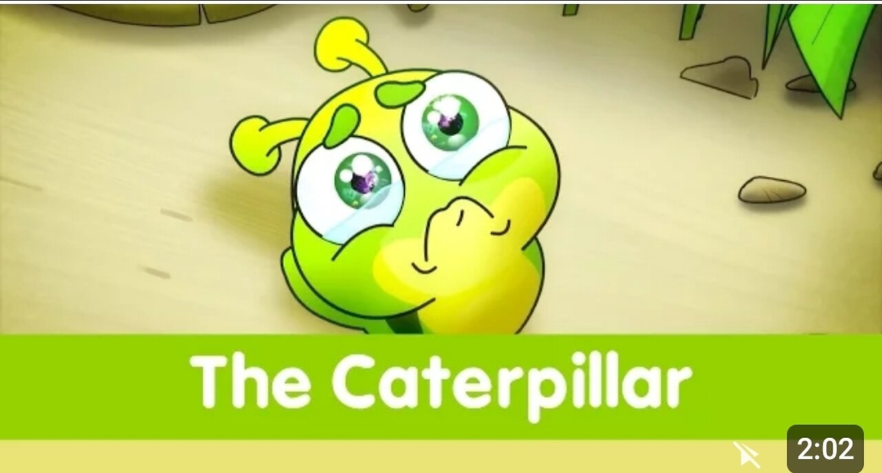 The Caterpillar - Toyor Baby English