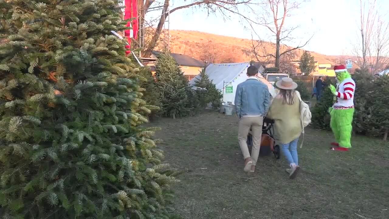 Local tree lots make it convenient to find the perfect Christmas Tree