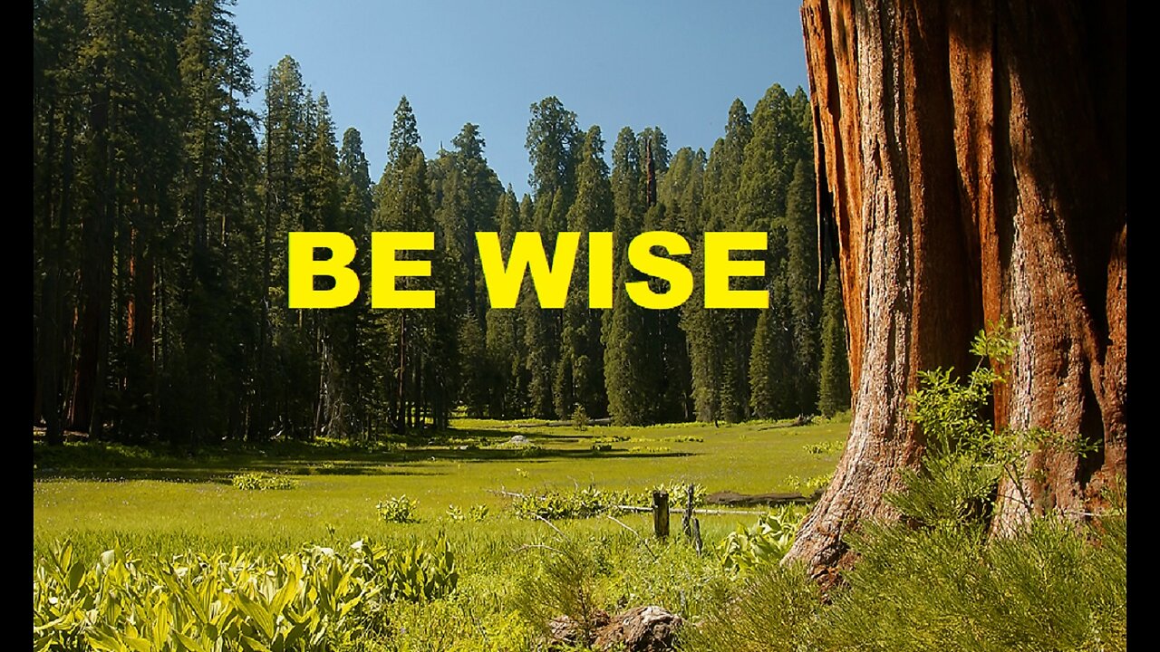 Through the Bible: Proverbs 13 For May 13