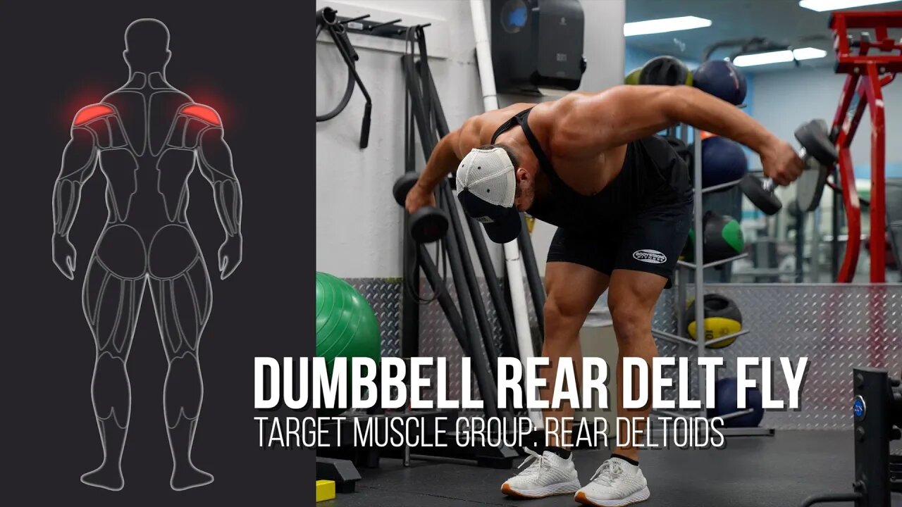 Dumbbell Rear Delt Fly