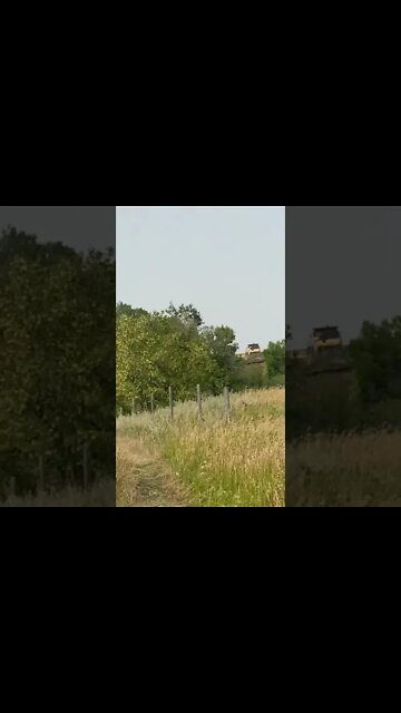 Hey look a combine #shorts