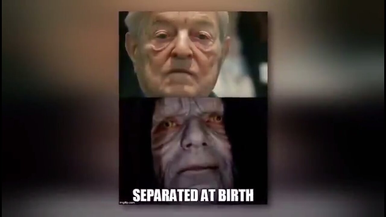 THE WORLD ORDER OF GEORGE SOROS