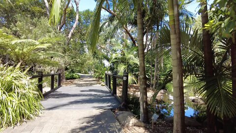 Gold Coast Regional Botanic Gardens