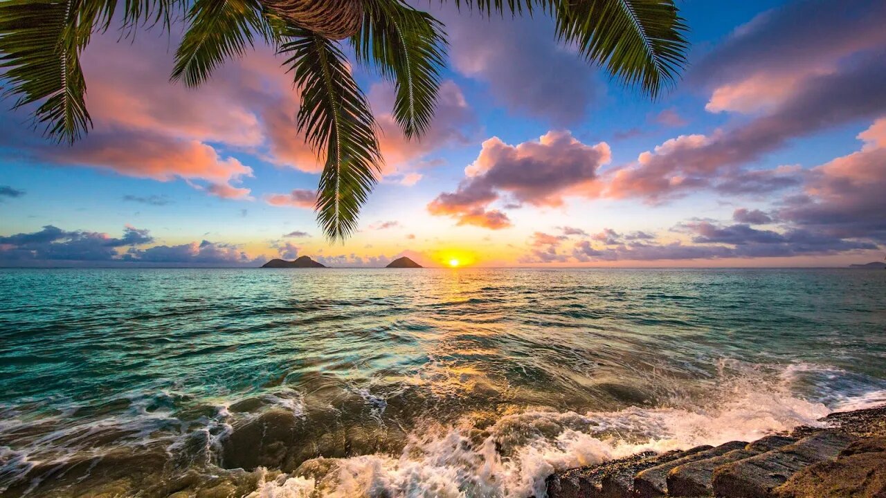 Soothing Tropical Music - Tropical Sunset ★334