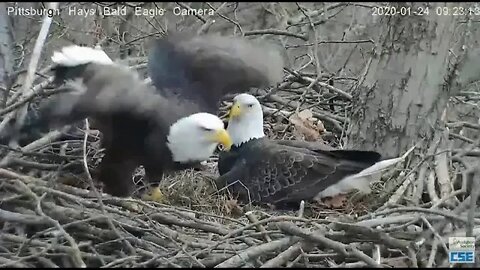 Pittsburgh Hays Eagles Dad digging out the bowl like a dog 2020 01 24 923 AM