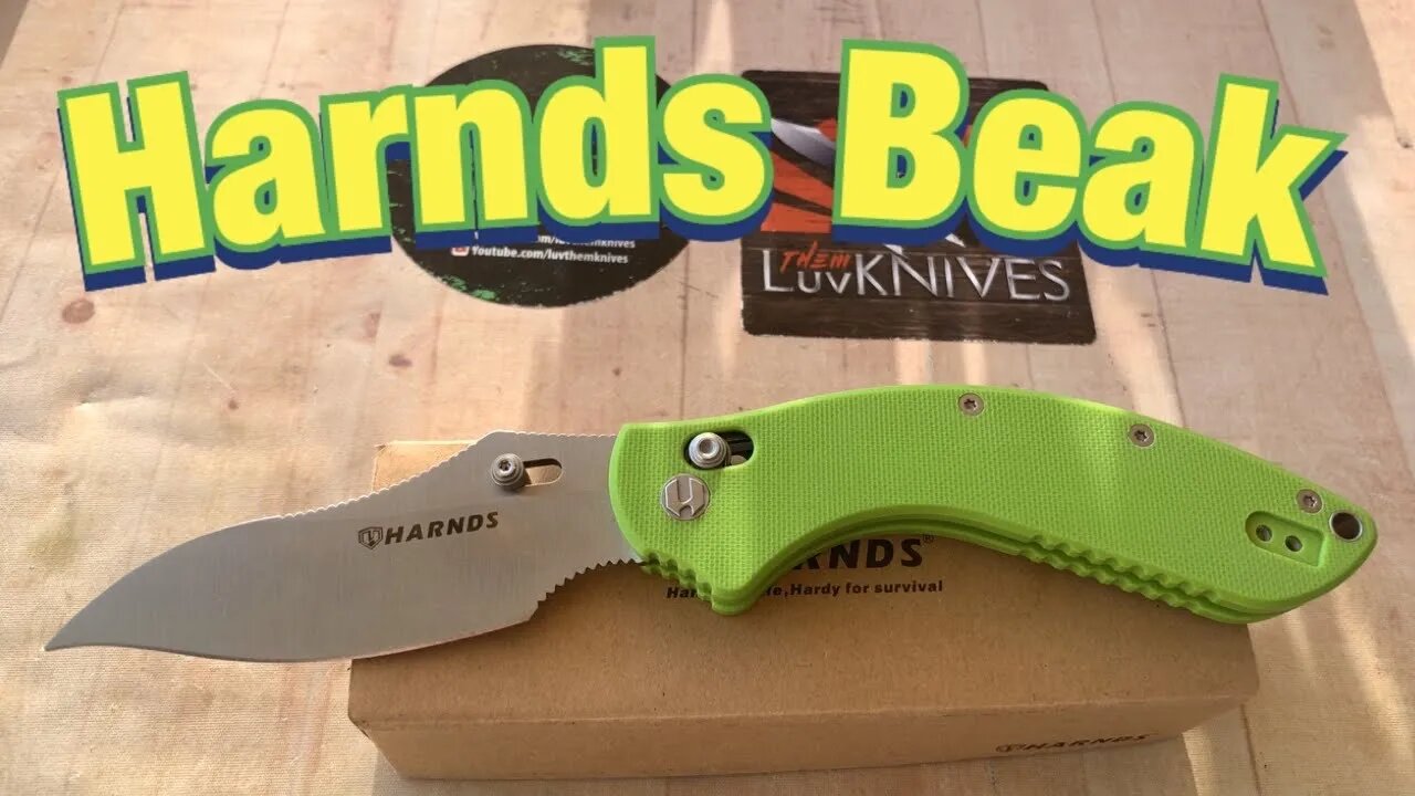 Harnds Beak / includes disassembly/ budget G10 axis lock knife with a unique design !!