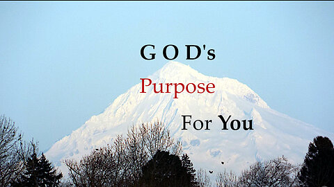 God's Purpose For You