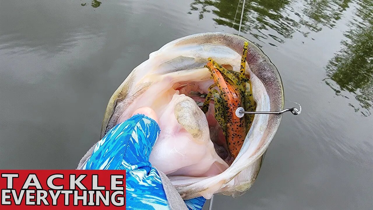 The Texas Rig TRICK You're NOT Doing