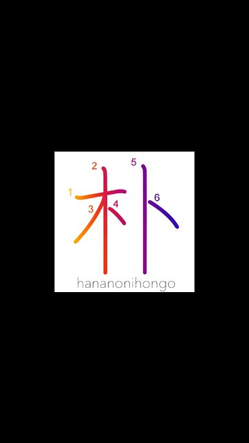 朴 - crude/simple/plain/docile - Learn how to write Japanese Kanji 朴 - hananonihongo.com