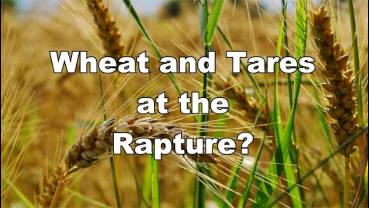 The Last Days Pt 404 - Rapture Pt 9 - Together Until The Harvest