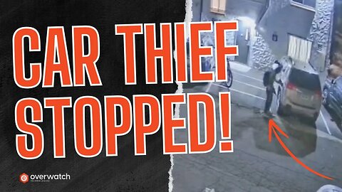 🚨 Live Agent Thwarts a Car Thief!