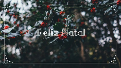 Feliz Natal (3)