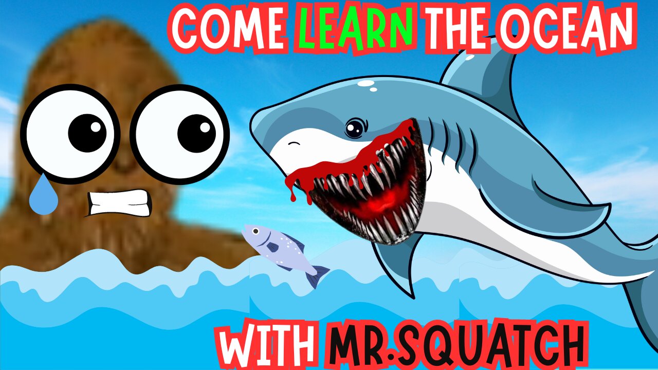 Mr. Squatch Takes Kids on a Trip to the OCEAN | Learning Videos for Kids