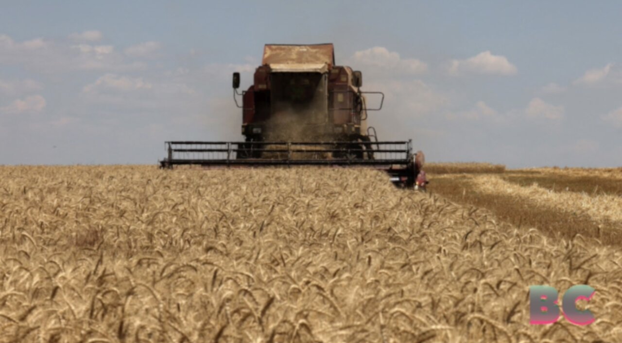 Russia axes landmark Ukraine grain deal just hours before deadline