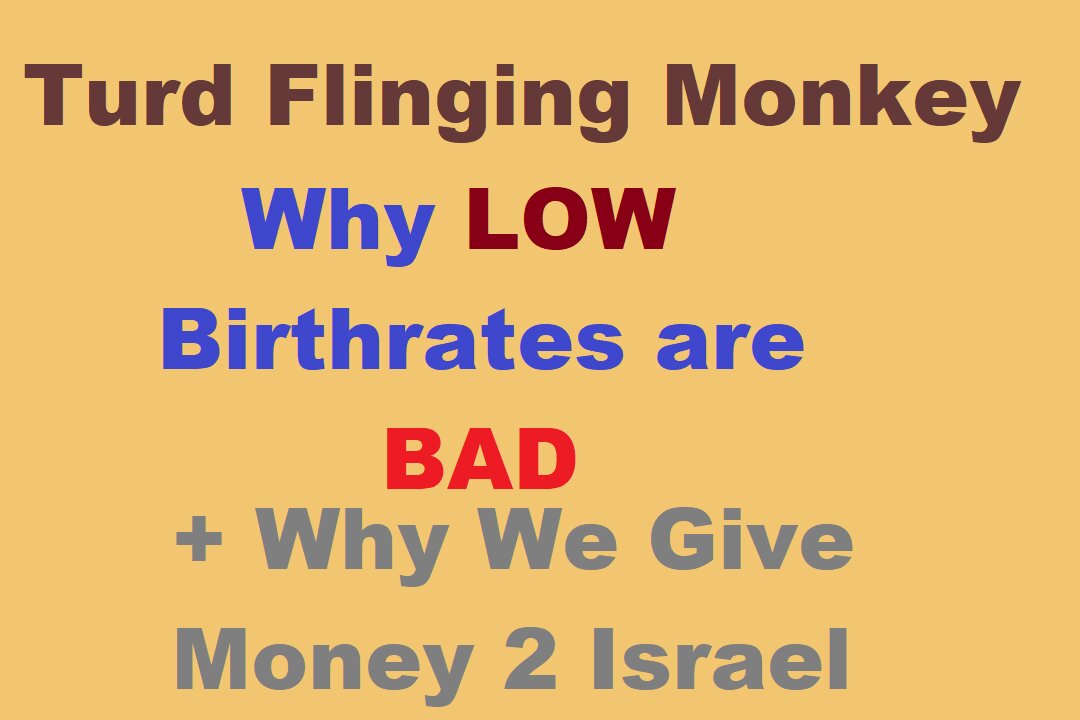 Turd Flinging Monkey on WHY Low Birthrates are BAD + WHY we give money to Israel