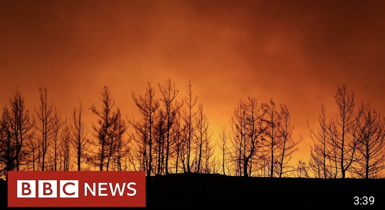 Wildfires threaten Turkey coastal resorts - BBC NEWS