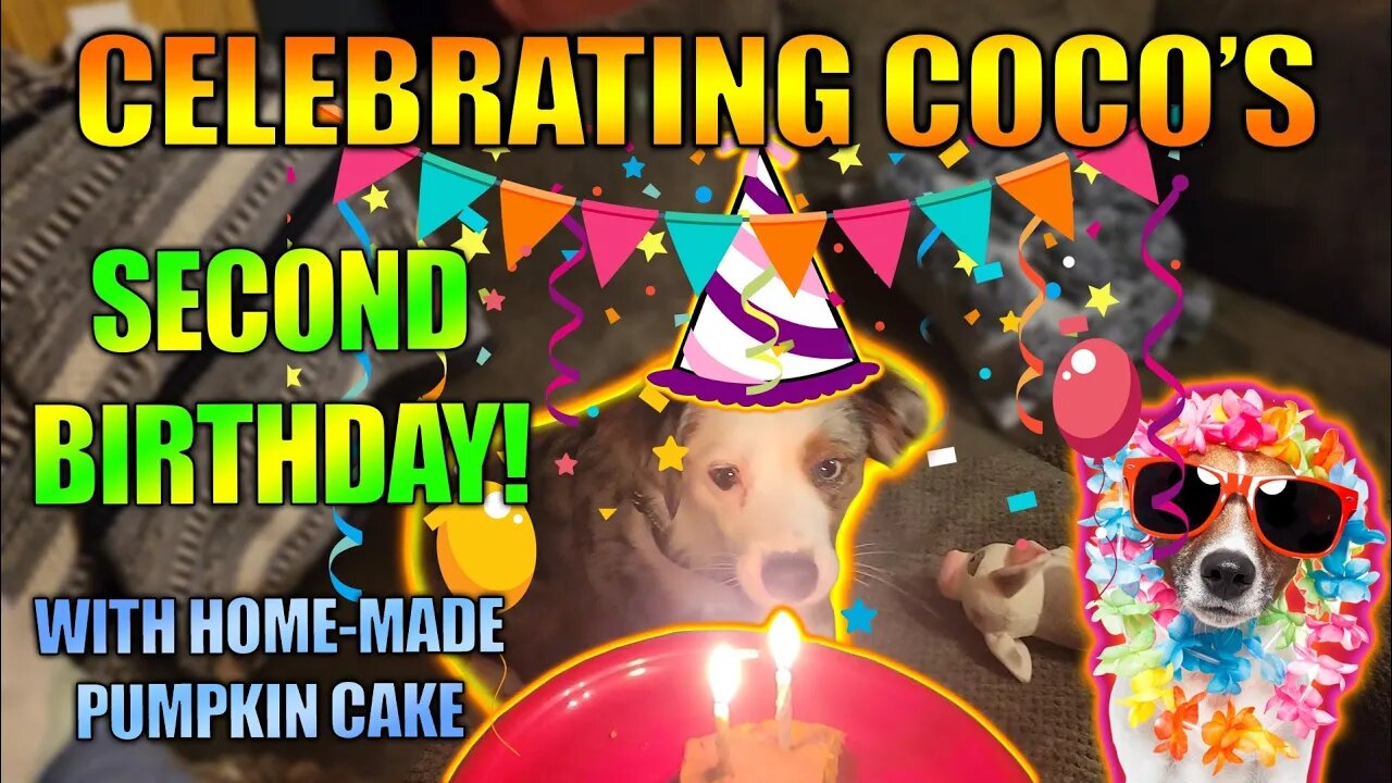 Coco's 2nd Birthday!!!