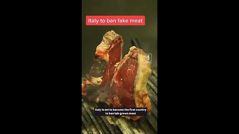 IT: PM Meloni Bans Lab Grown Fake Meat