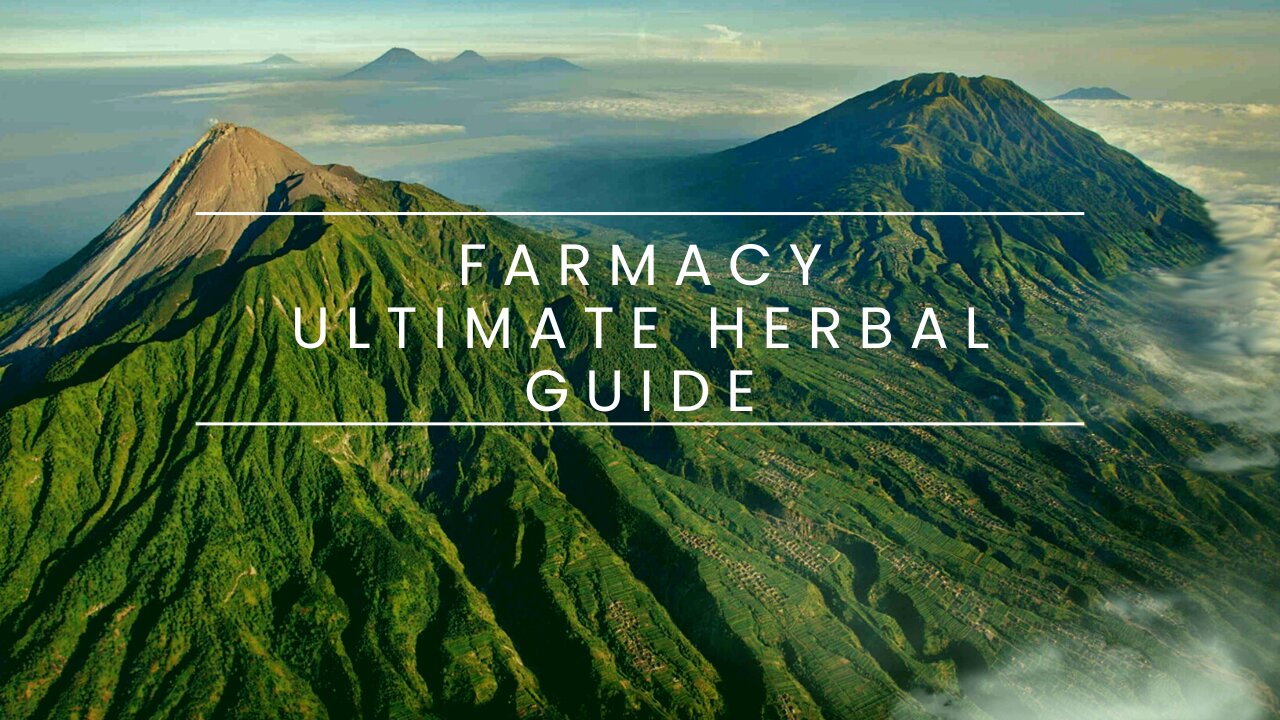 Welcome to the FARMacy! Healing Earth and Humanity through Herbal Medicine