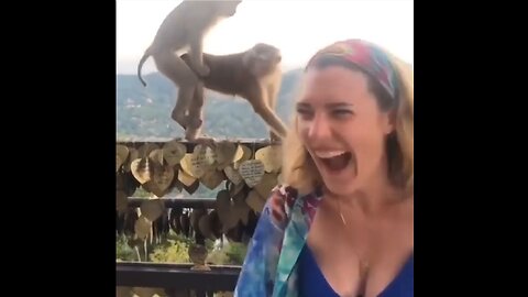 Top 100 Viral Videos of the Year 2022