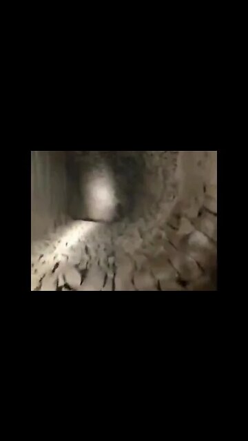 ۲۸ اوت ۲۰۲۲