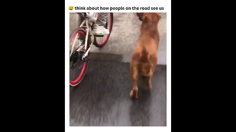 #BestPartnerEver #Smileplease #Viral