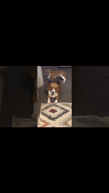 You Give Me Nothing, Banchee #shorts