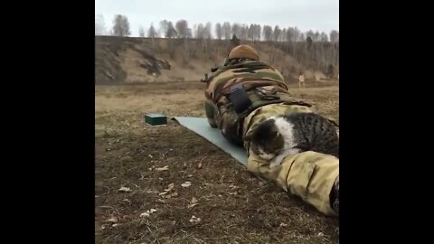 Even cats are badasses in Ukraine 💪