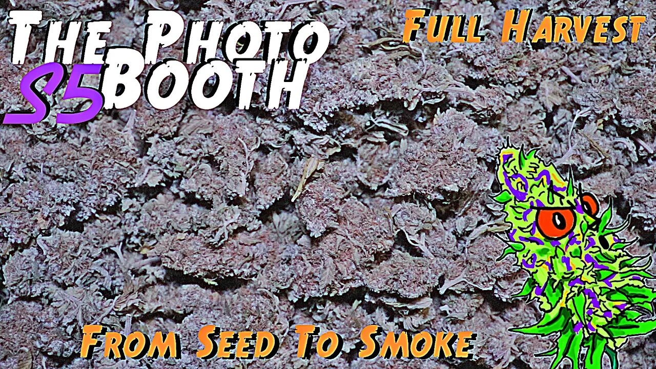 The Photo Booth S5 Ep. 15 | Full Harvest | From Seed To Smoke