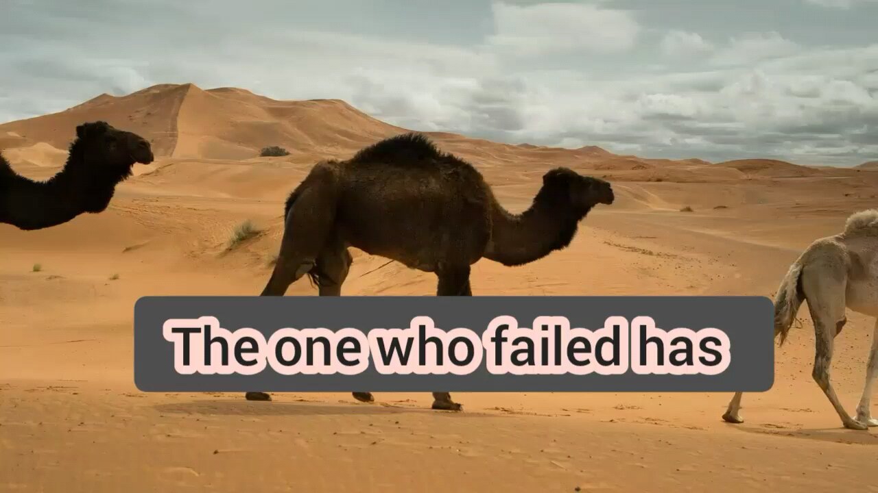 success and failure