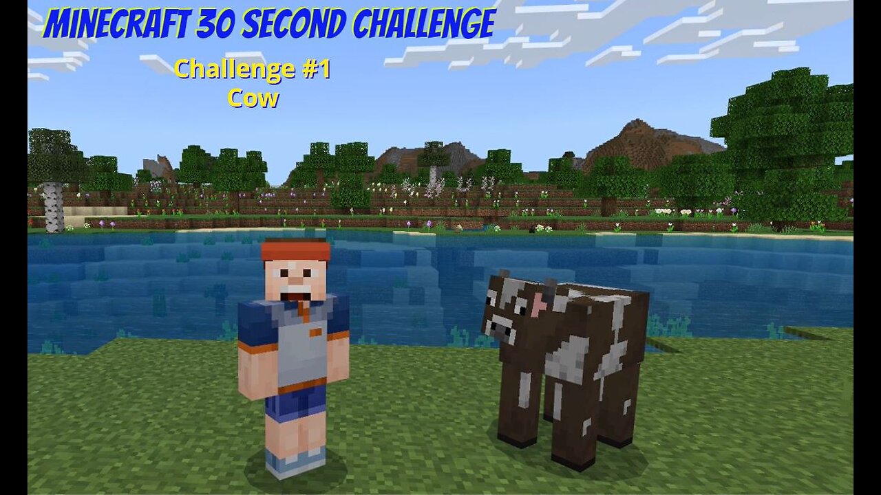 Minecraft 30 Second Challenge - Challenge 1 - Cow