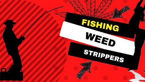 A story about a weed, fishing, and strippers.