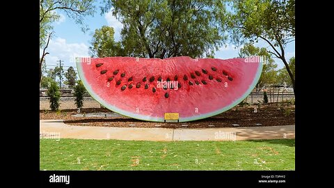 Amazing Giant Watermelon Farm