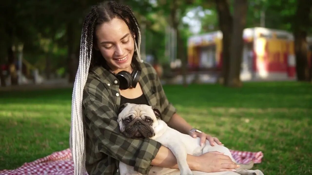 Girl with dreadlocks sitting on plaid on lawn in a park. Holding her little pug and pets him