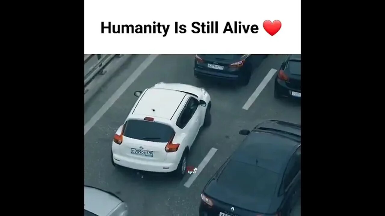 Humanity Is Still Alive ❤