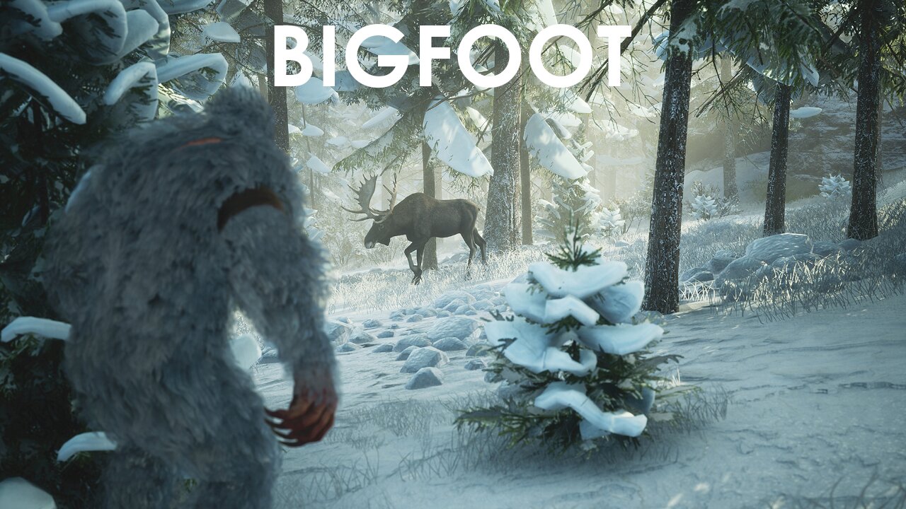 The Update That Never Was | Bigfoot