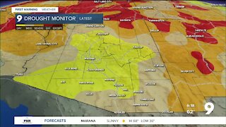 Chilly nights and mild days rule the forecast